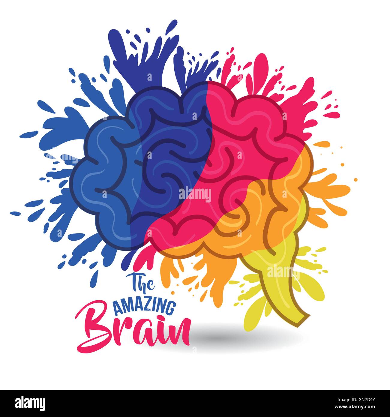the amazing brain isolated Stock Vector Image & Art - Alamy