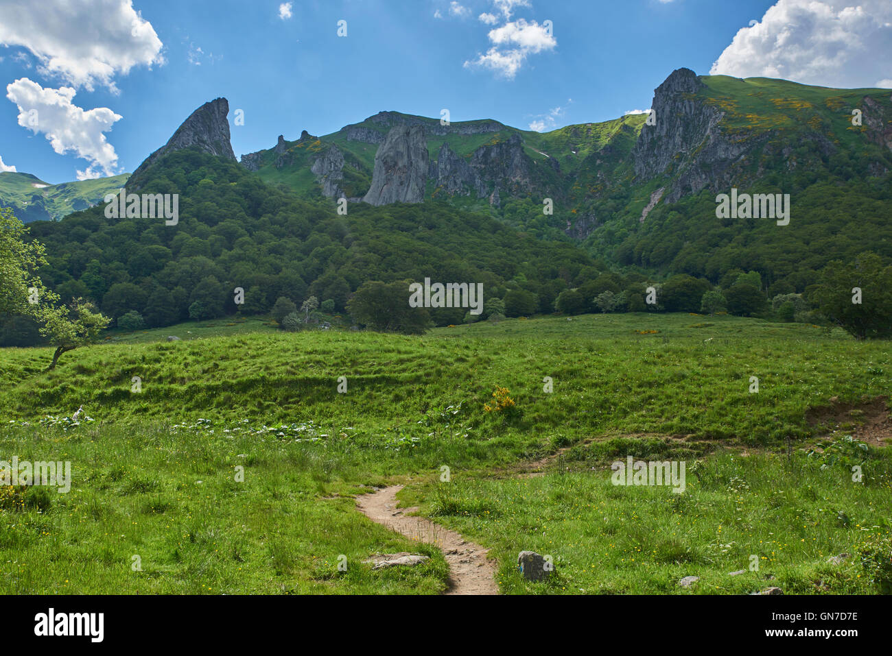 Crete De Coq De La Vallee De Chaudefour Stock Photo Alamy