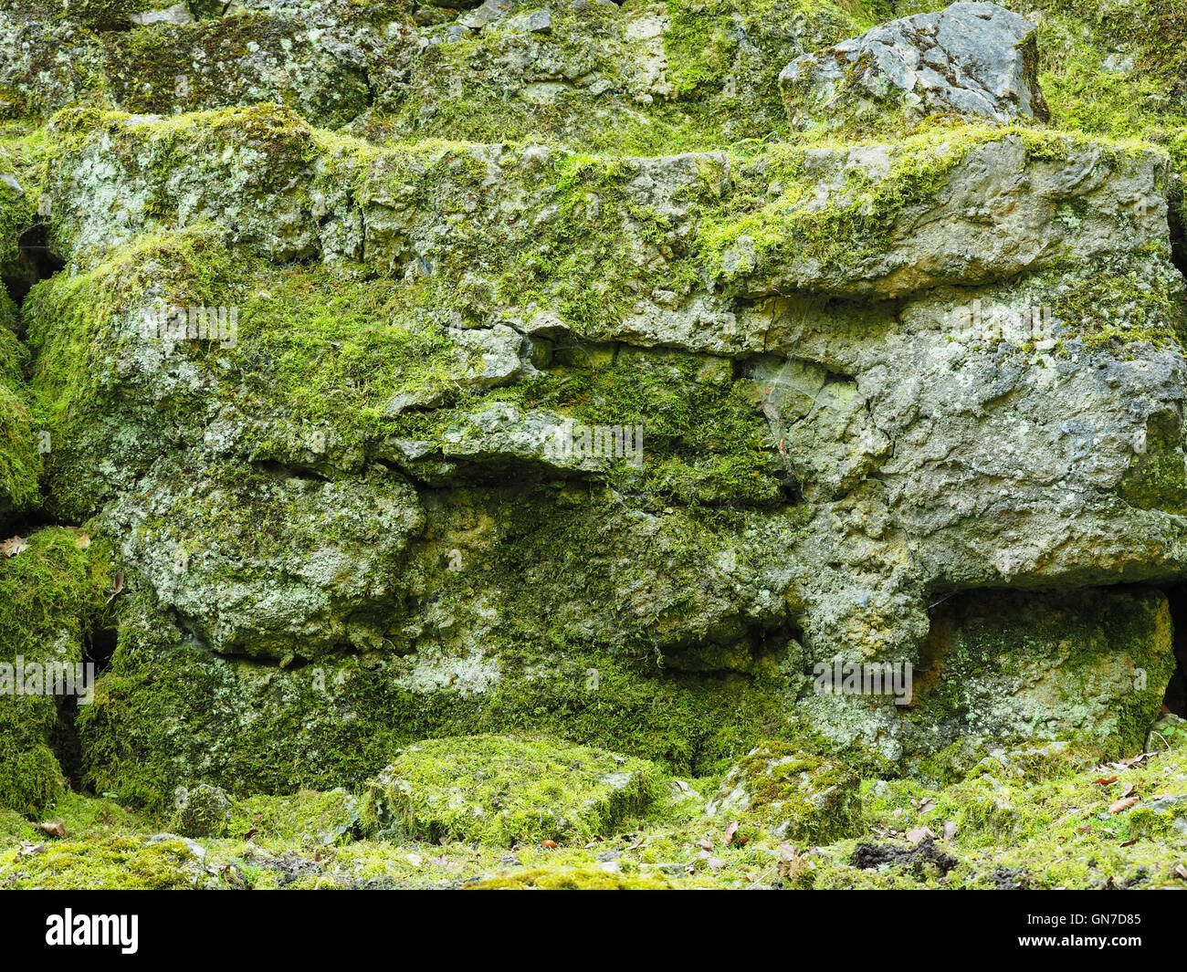 Natural background of rocks with moss Stock Photo