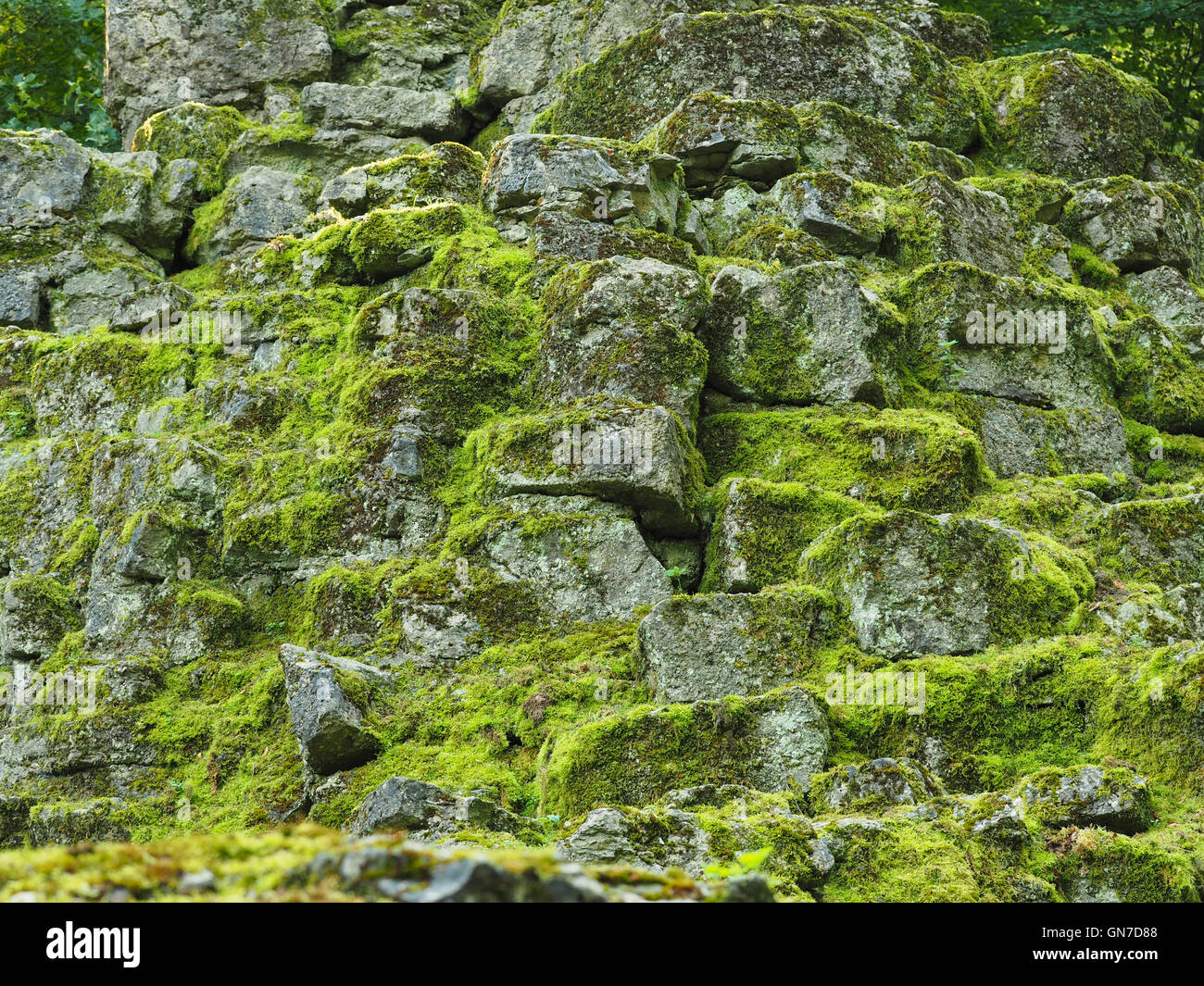 Old rocks with fresh green moss, natural texture background with space for text or image Stock Photo
