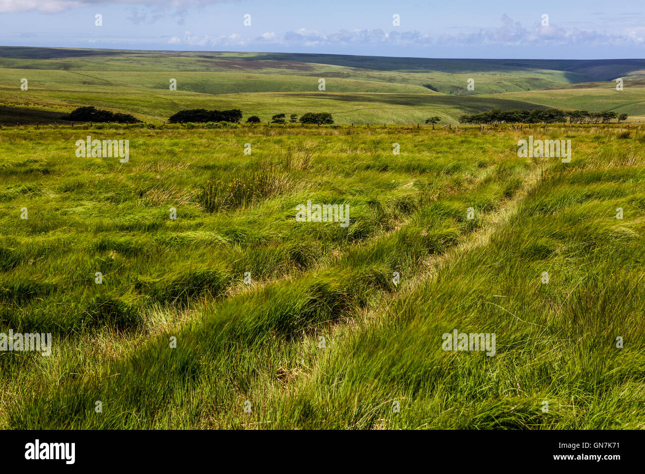 Moorland above Simonsbath (near Warren Farm), Exmoor, UK Stock Photo ...