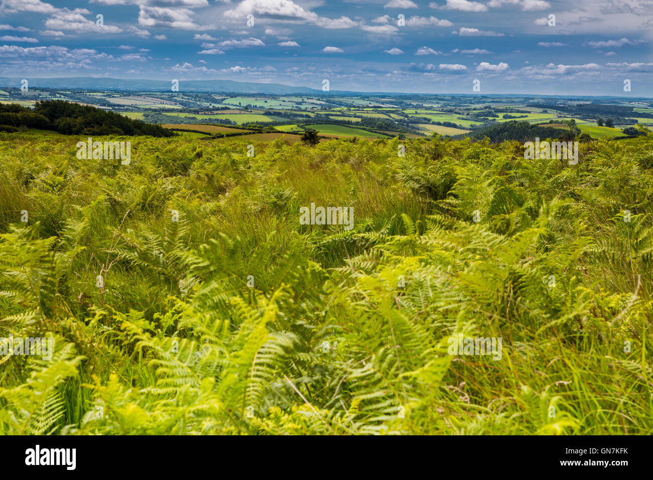 anstey-gate-hi-res-stock-photography-and-images-alamy
