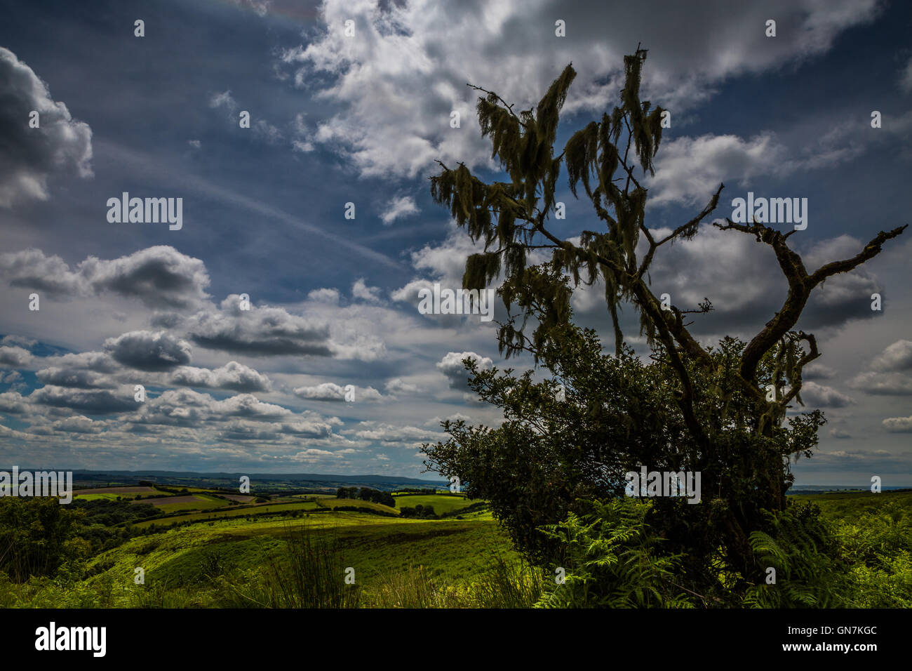 Moorland at the national park hires stock photography and images Alamy