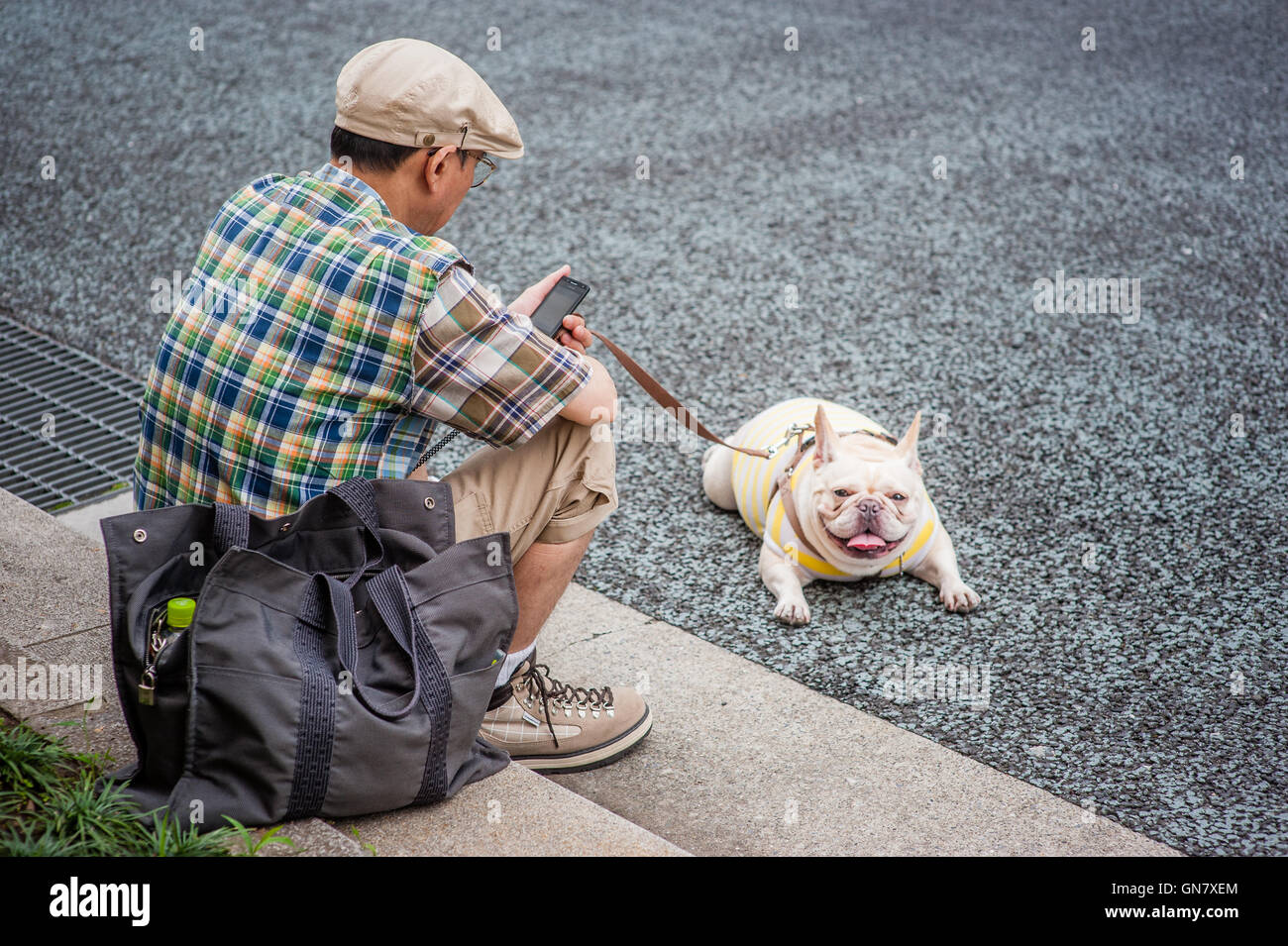 Man with dog on pavement Stock Photo Alamy