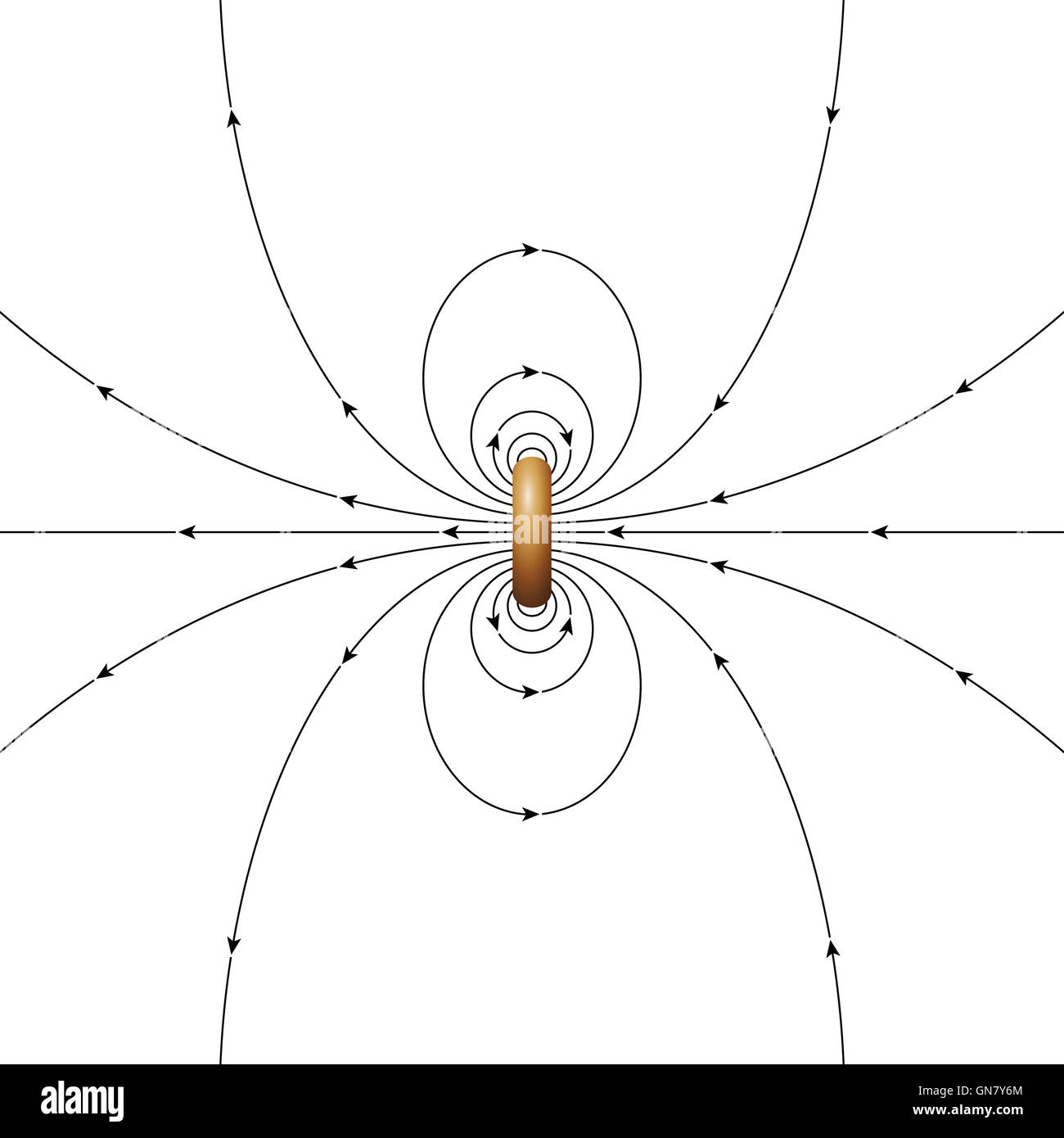 Magnetic field lines of a ring current of finite diameter. The arrows showing the direction of the magnetic field. Illustration Stock Photo