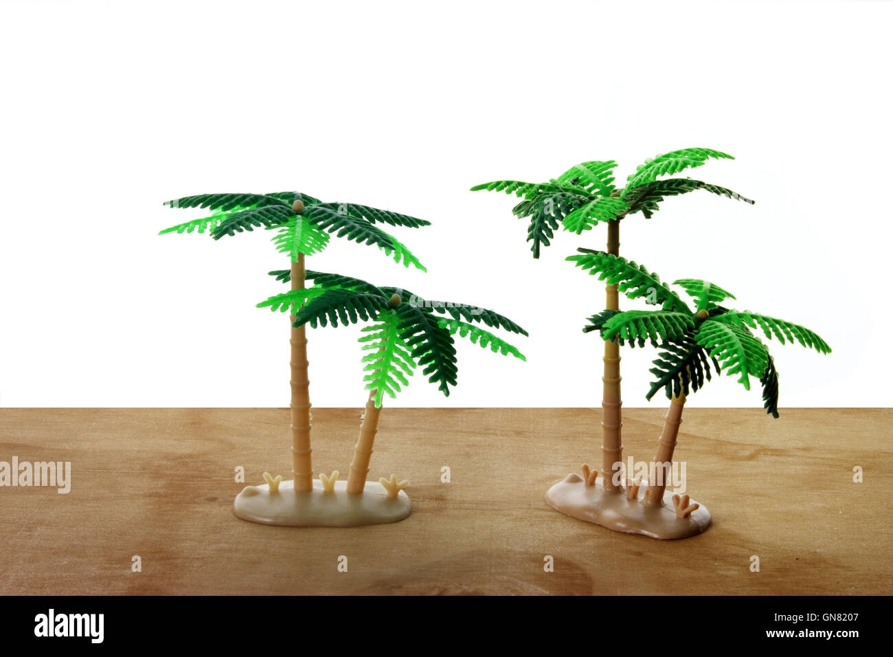 Miniature Palm Trees Stock Photo - Alamy