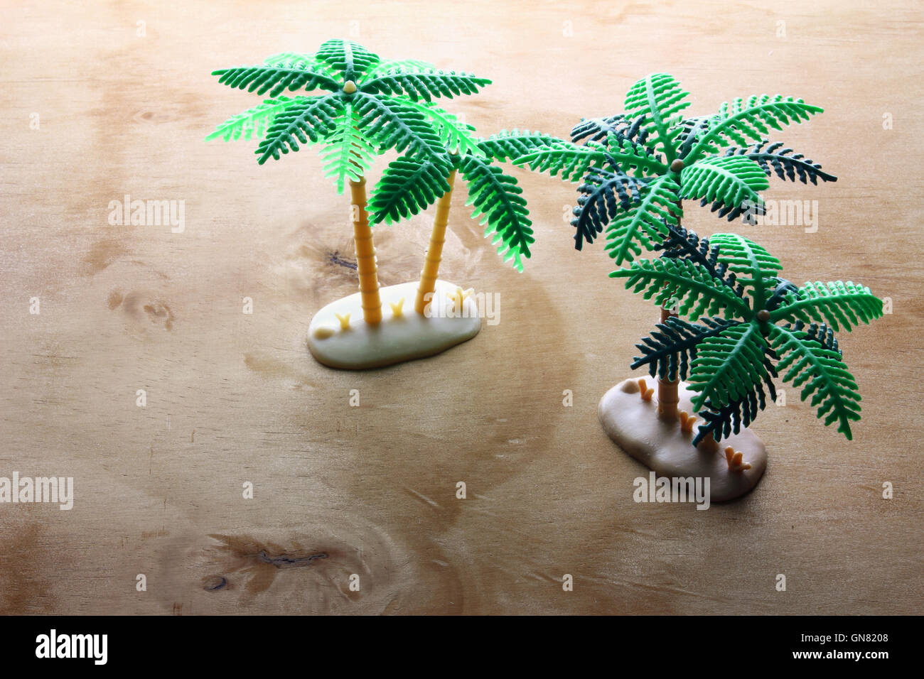 Miniature Palm Trees Stock Photo Alamy