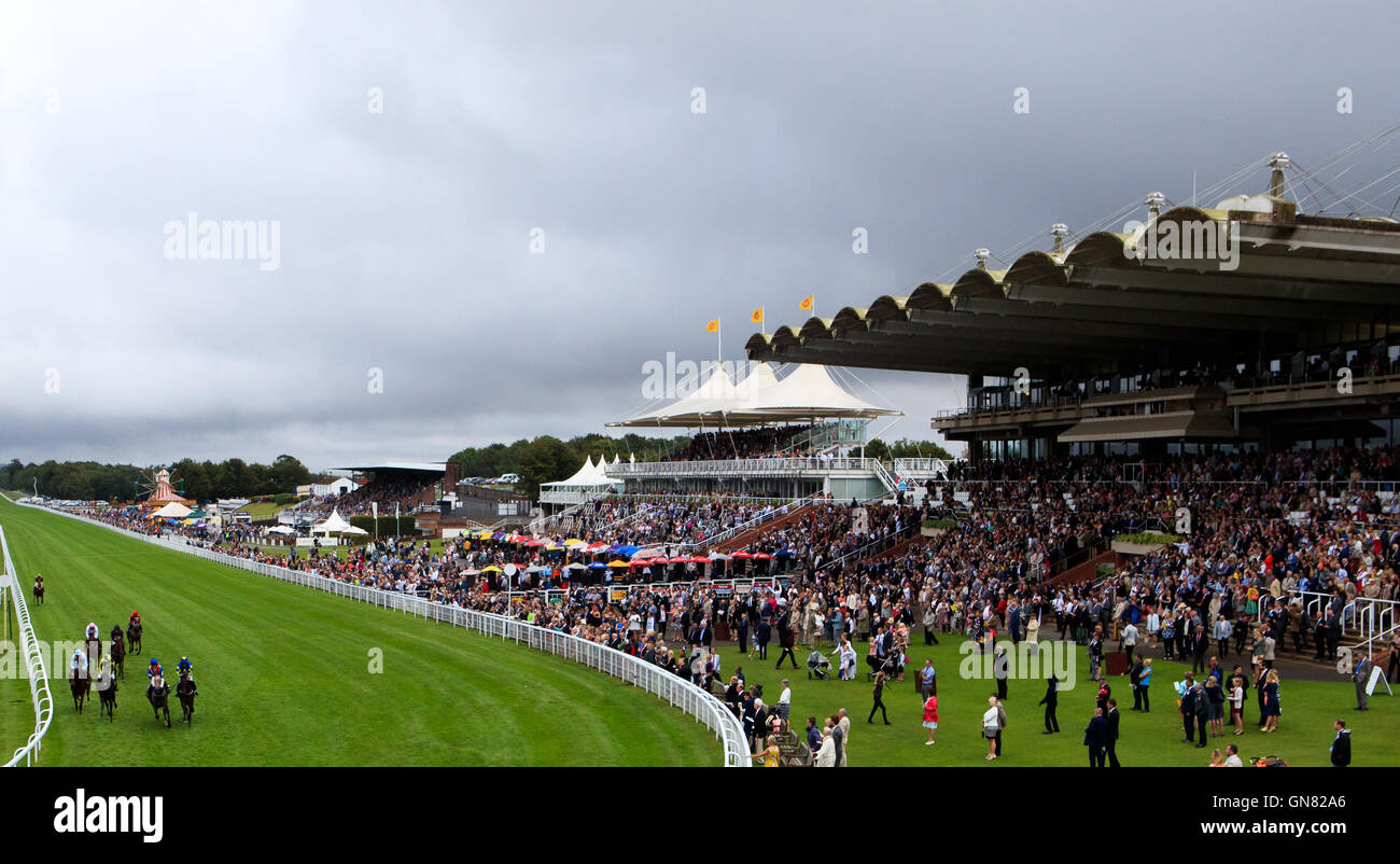 Pink Ribbon ridden by Miss S. Brotherton wins The Goodwood Amateur Rider Challenge Handicap at Goodwood Racecourse. Stock Photo
