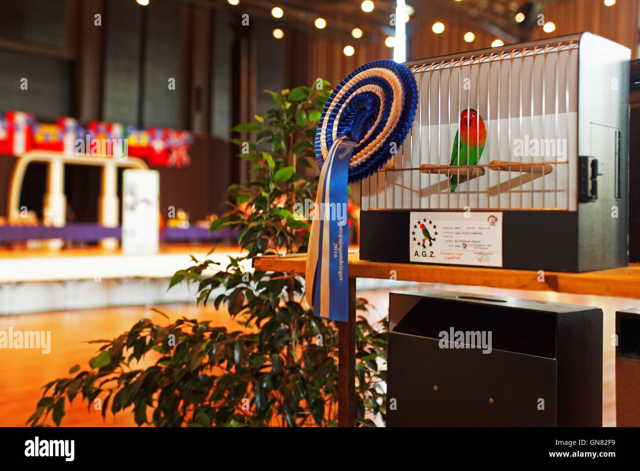AZ Europa Championat, Karlsruhe, Baden-Württemberg, Deutschland Stock Photo