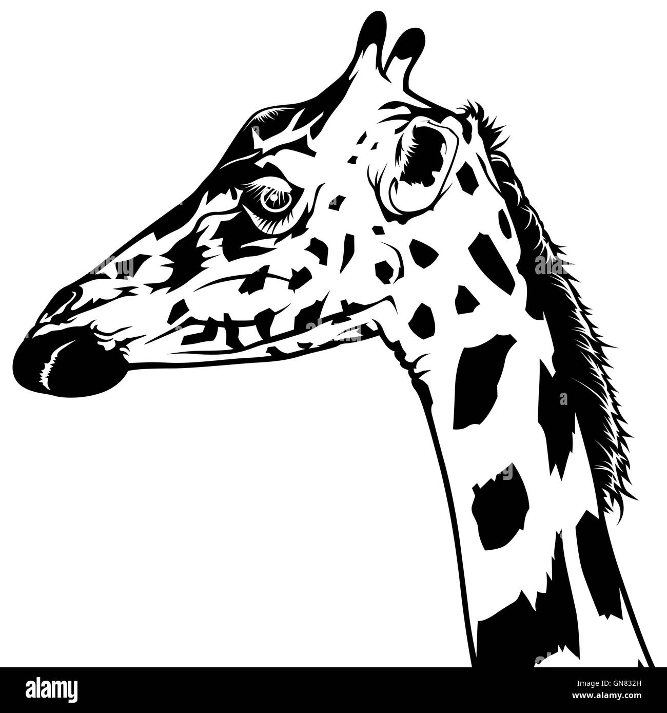 Giraffe Head Clipart Black And White