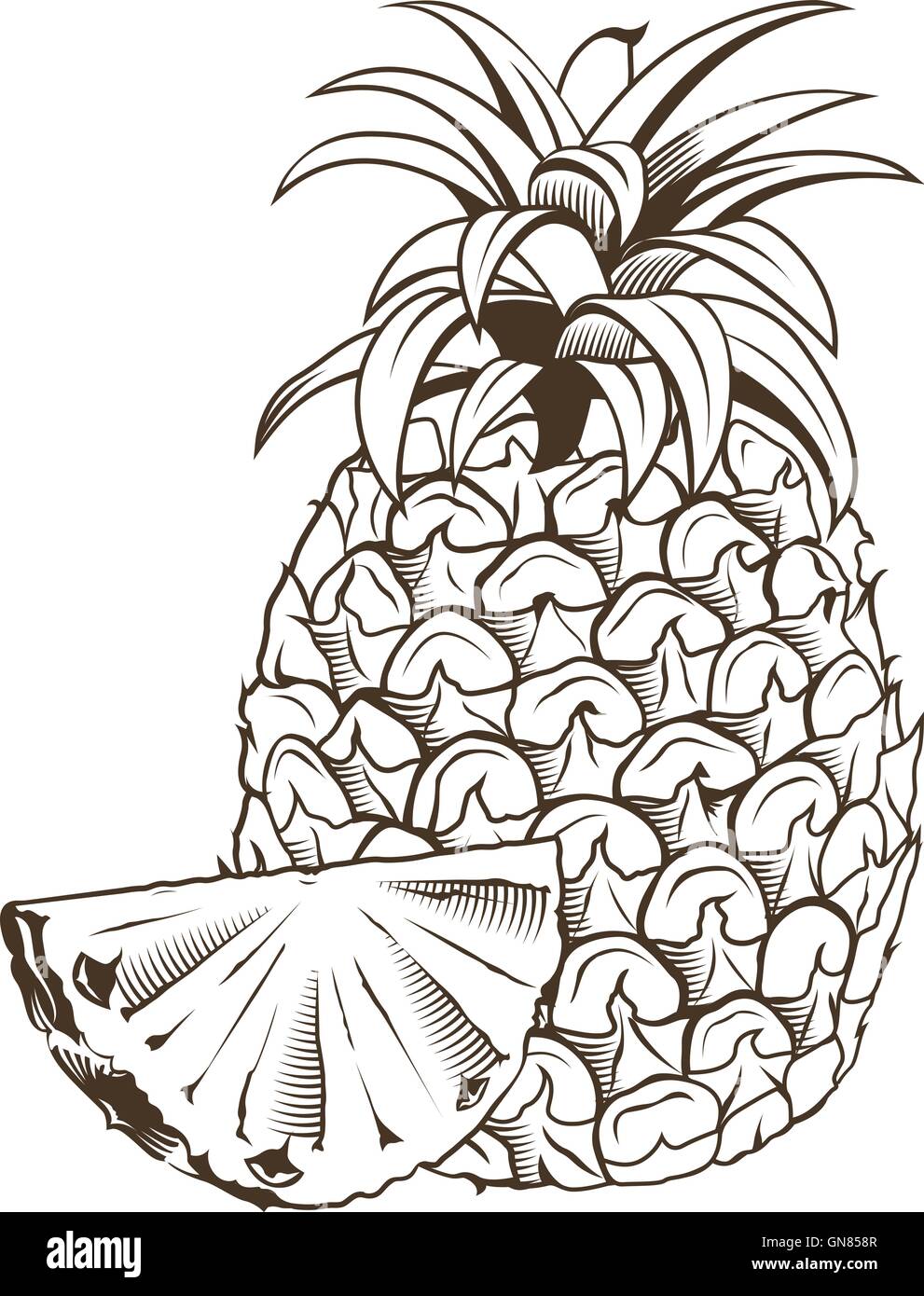 Pineapple in vintage style. Line art vector illustration Stock Vector