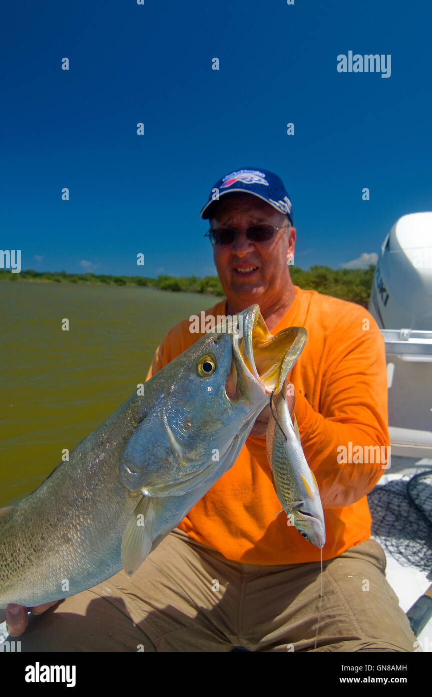 Big "Gator" trout are often caught in Florida's Mosquito Lagoon and