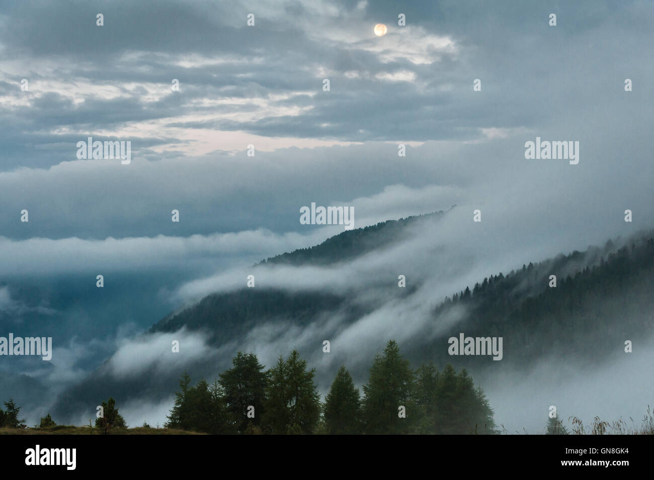 The Dolomites, Trentino, Italy. Moonset over the Passo di Valles, at dawn during summer Stock Photo