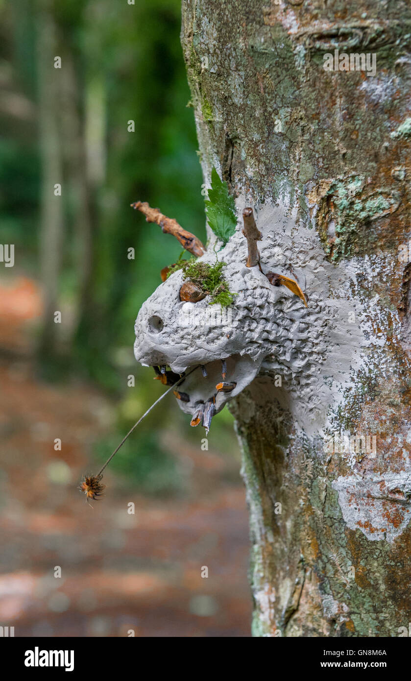 Clay or rubber molding material used for tree art forming a dragons head. Stock Photo