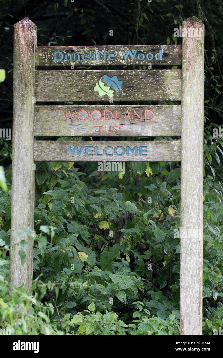 Duncliffe Wood - Woodland Trust, mentioned in the Domesday book Stock Photo
