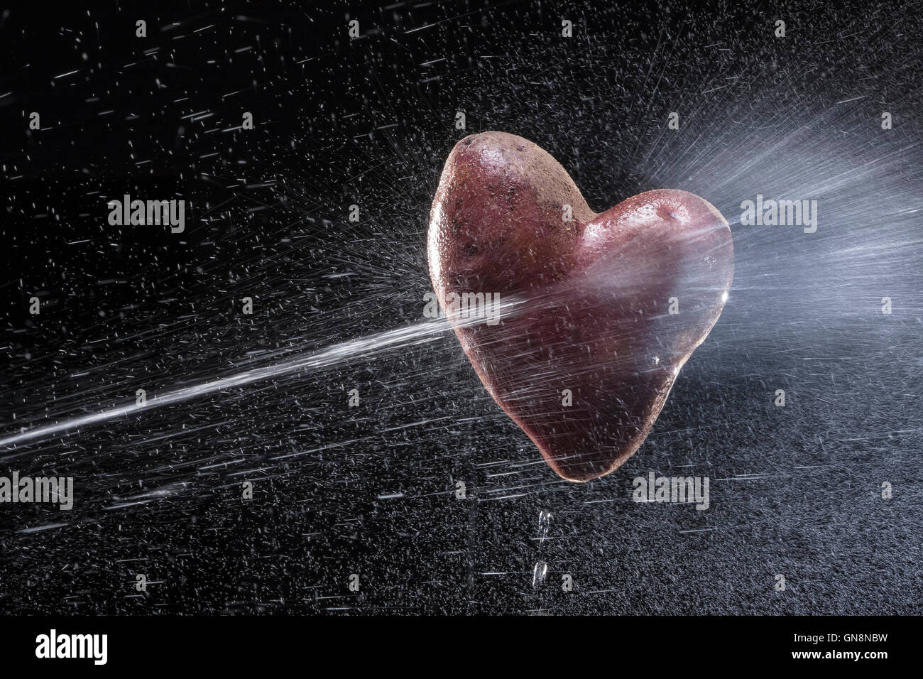 Potatoes in the form of heart. On a black background. A series of fruits and vegetables in motion. Valentine's Day Stock Photo