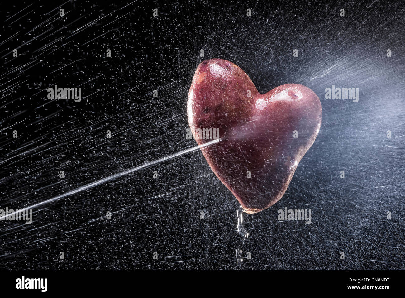 Potatoes in the form of heart. On a black background. A series of fruits and vegetables in motion. Valentine's Day Stock Photo