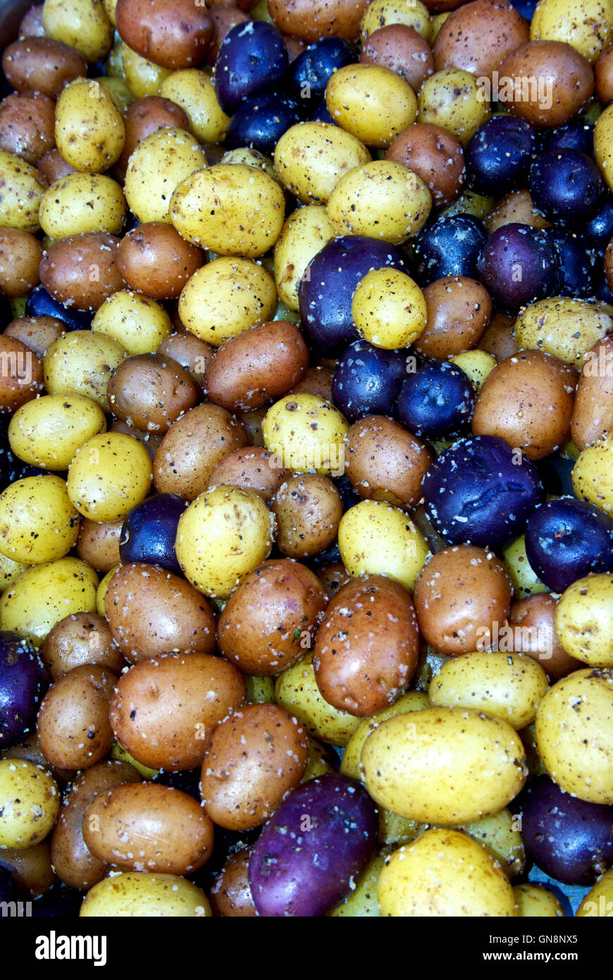 Steamed & salted purple Yukon gold & red jacket baby potatoes Stock Photo