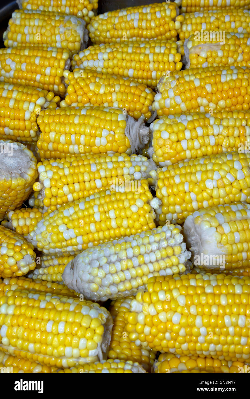 Steamed peaches & cream corn on the cob halves Stock Photo Alamy