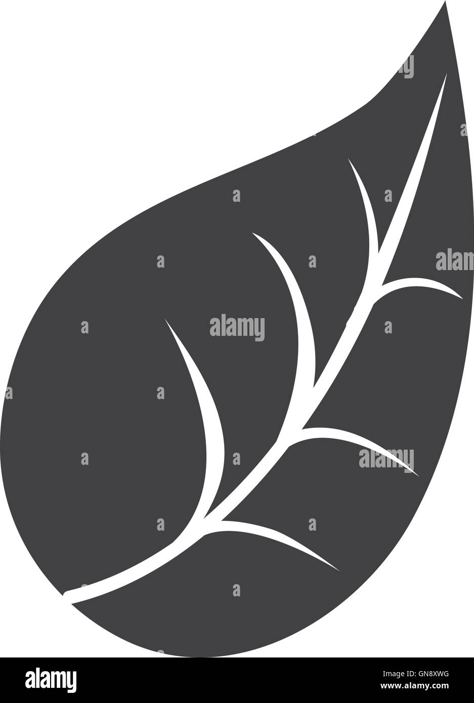 leaf plant nature design Stock Vector Image & Art - Alamy