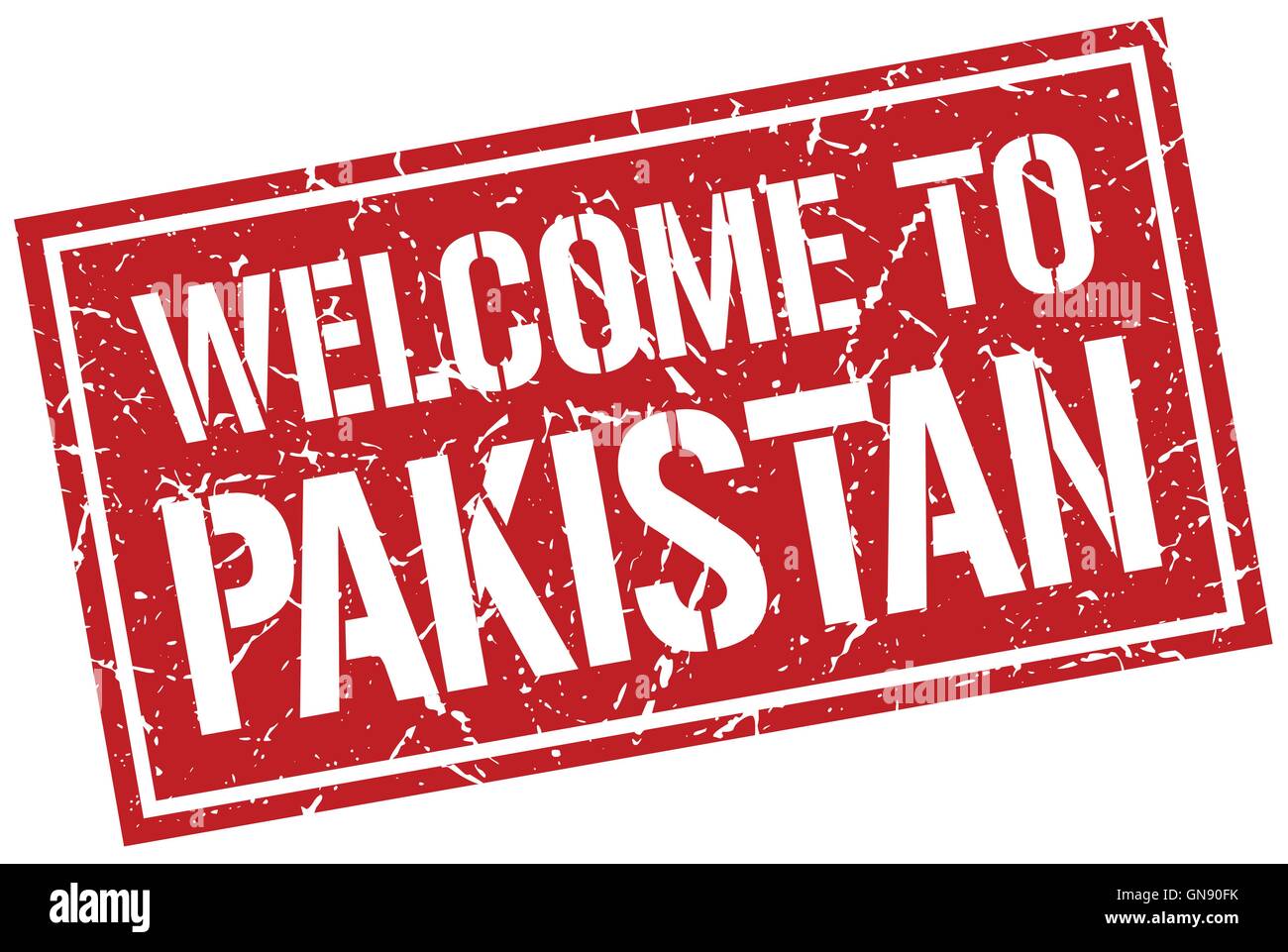 WELCOME TO PAKISTAN visual data 8