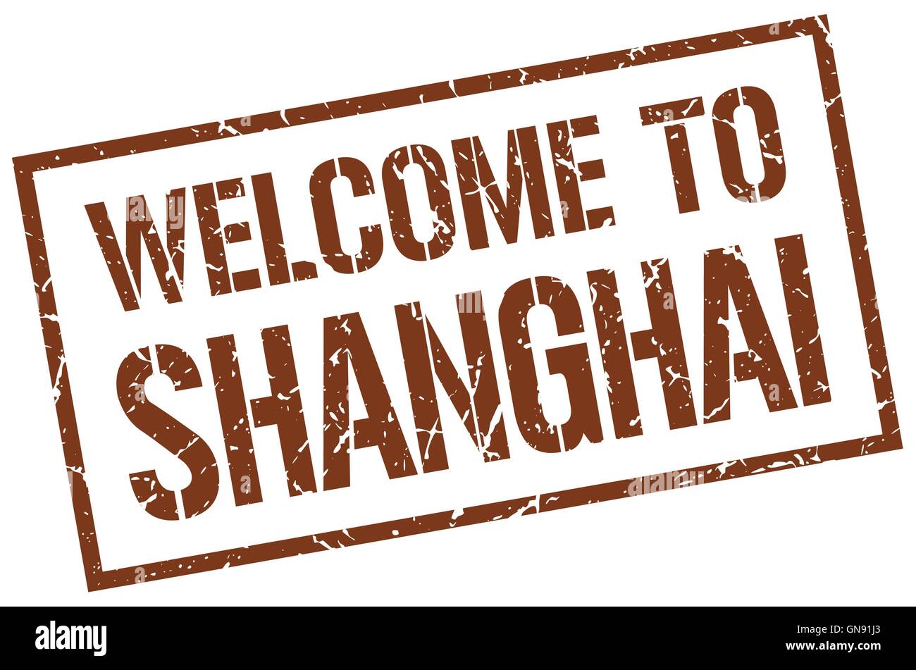 WELCOME TO SHANGHAI intelligence overview