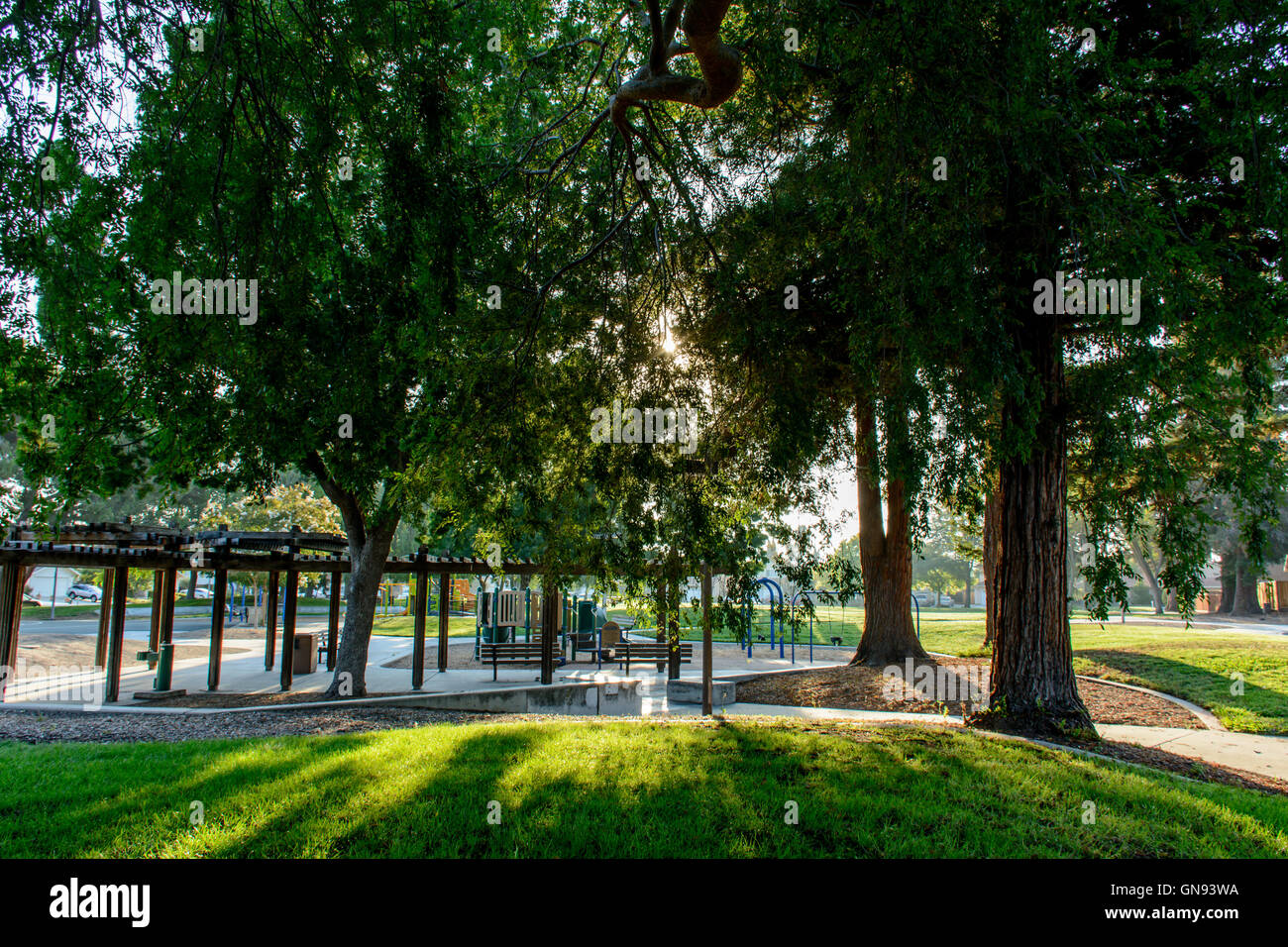Trees in the Morning Sunshine at Neighborhood Park Stock Photo - Alamy