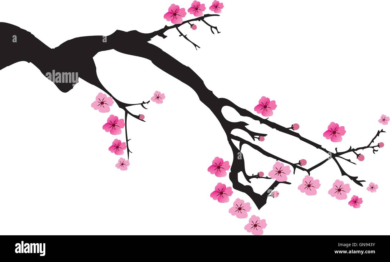 Vector Cherry Blossom Stock Vector Image & Art - Alamy