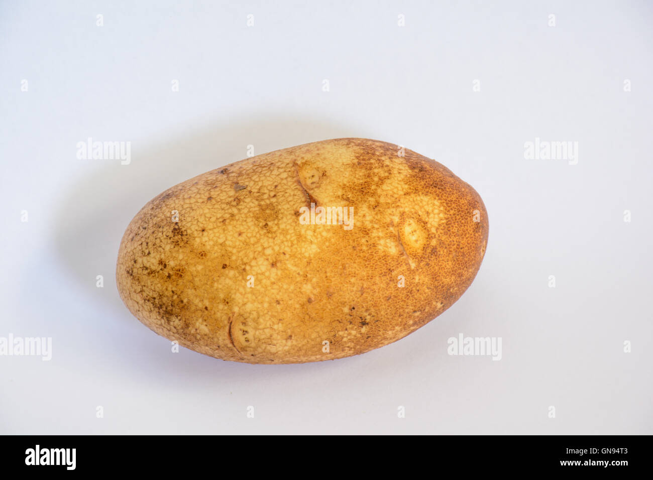Light Room Shooting of Close Up Potato with all detail Stock Photo