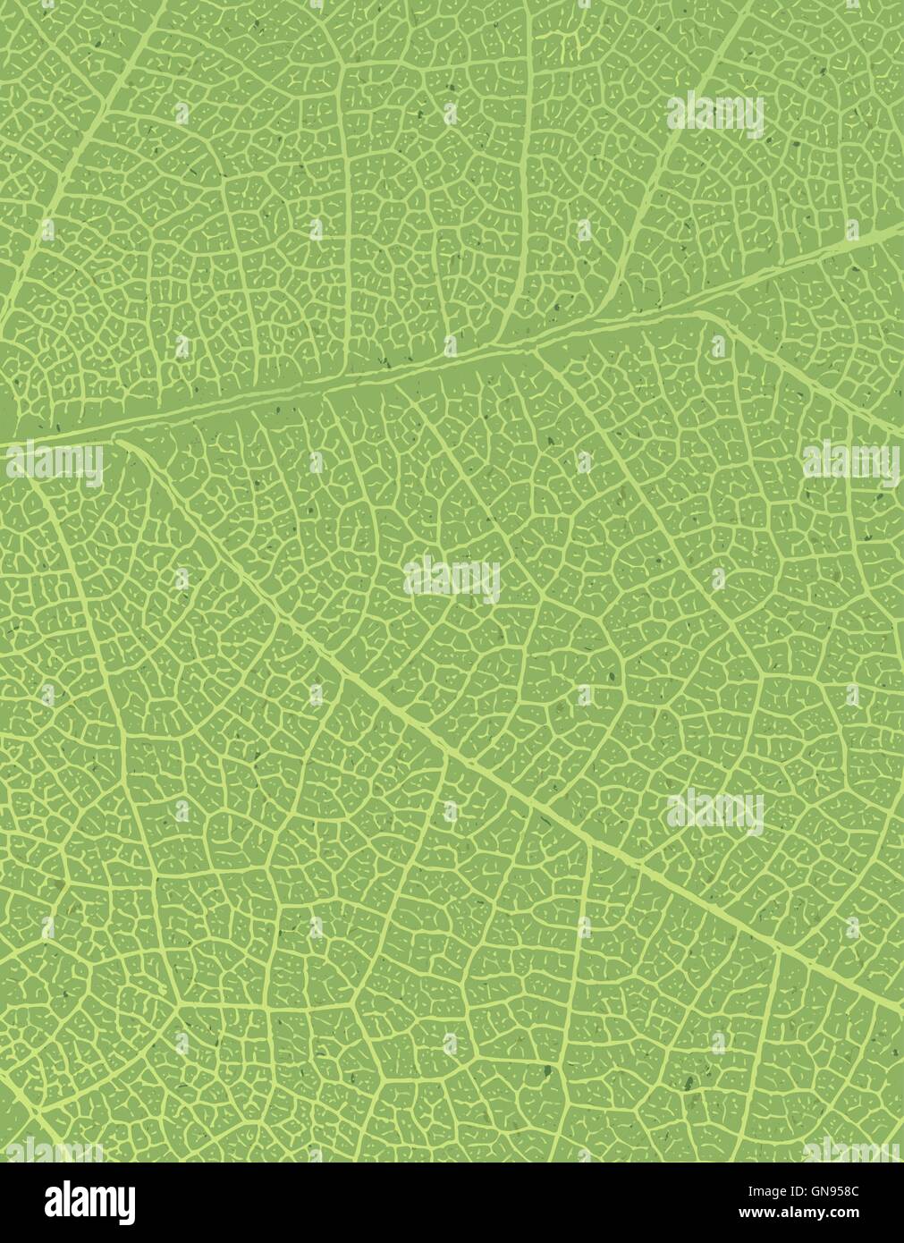 Nature background with free space for text or image. Green leaf Stock ...