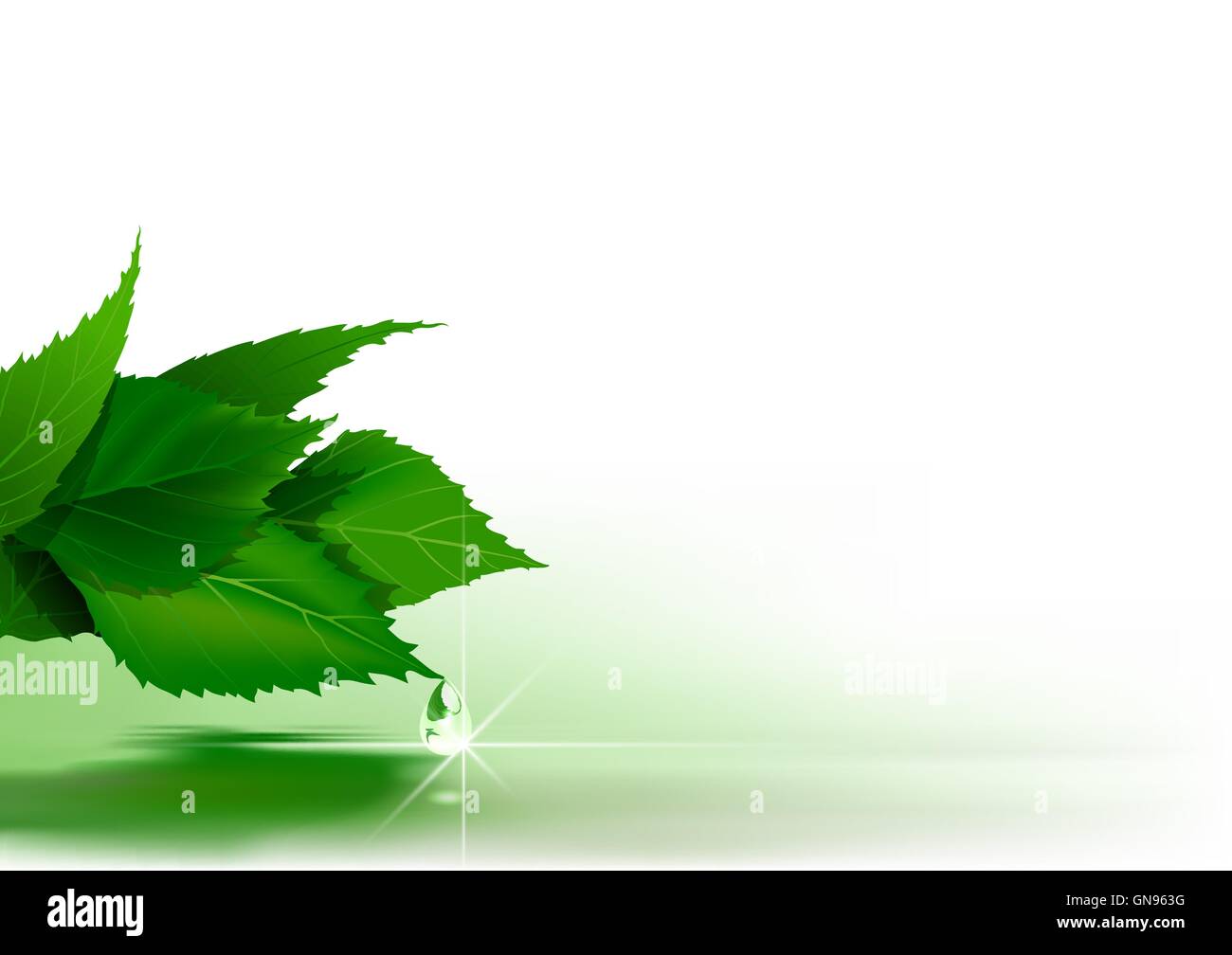 Background with Green Leaves Stock Vector Image & Art - Alamy