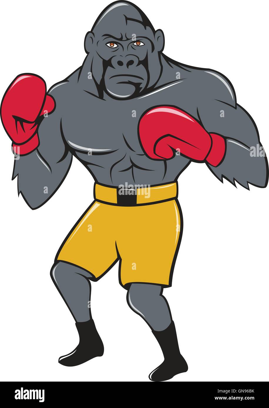 Gorilla Boxer Boxing Stance Cartoon Stock Vector Image & Art Alamy