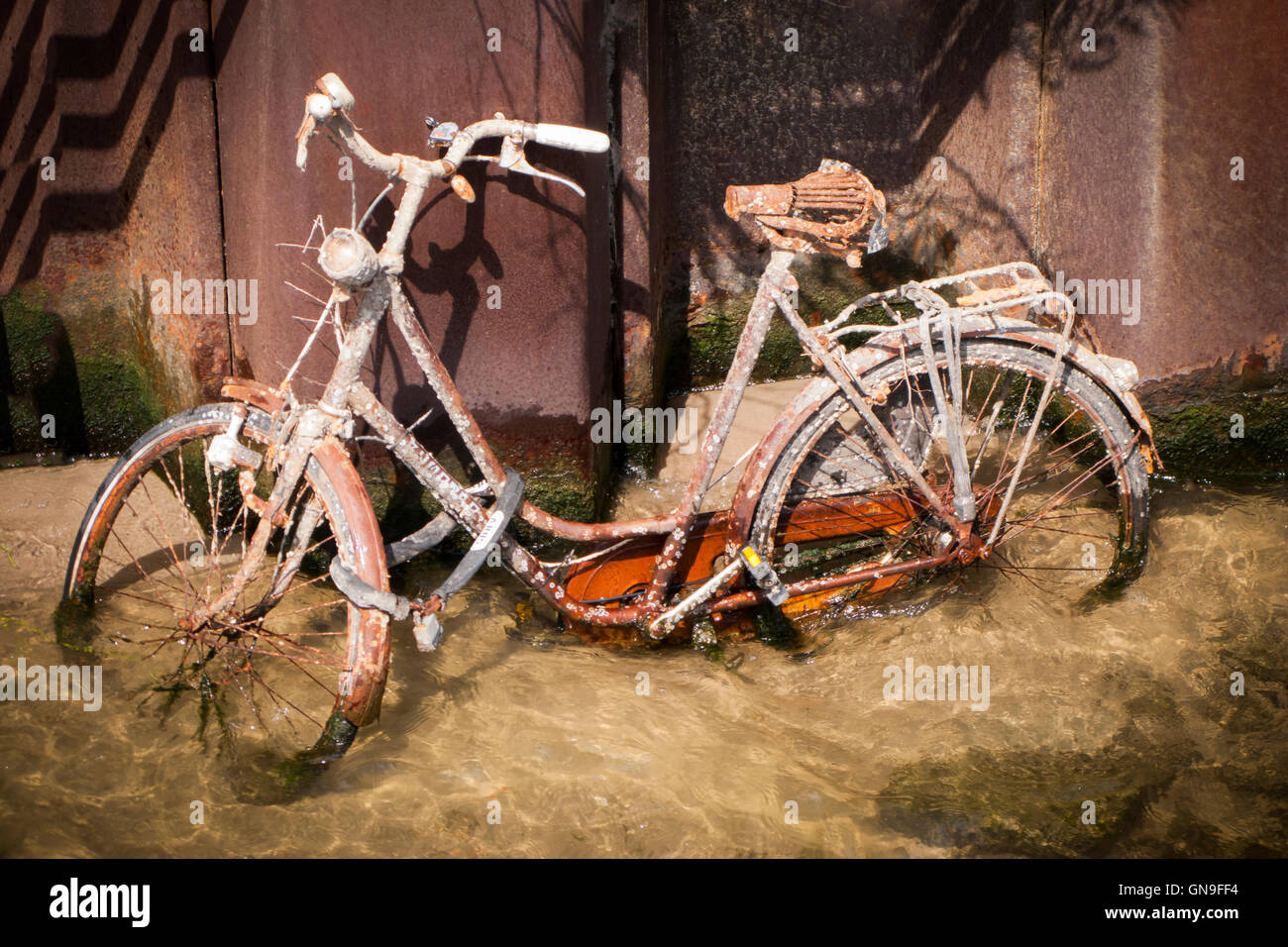 Underwater Rusted Bicycle Rims Abandoned bicycle underwater hi-res stock photography and images - Alamy