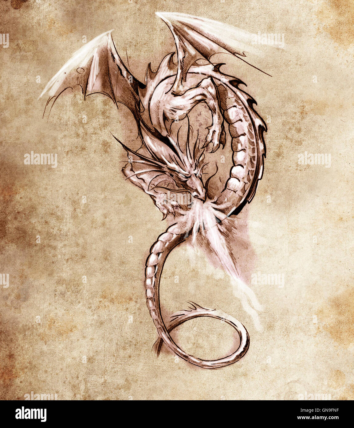 Chinese Dragon drawing