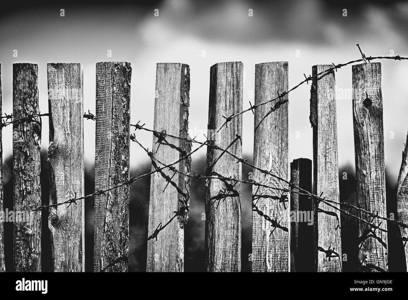 Wire security fence and gate Black and White Stock Photos & Images - Alamy