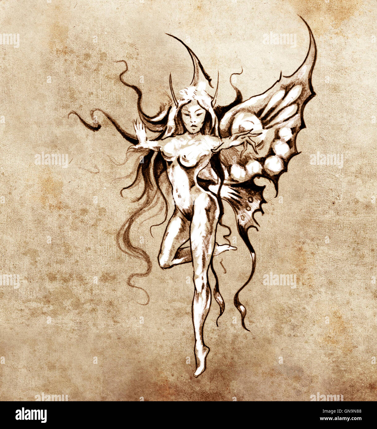 Sketch of tattoo art, fairy butterfly Stock Photo
