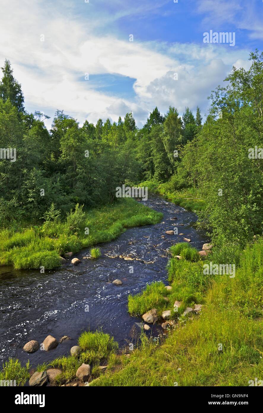 Tree flow stone rough hi-res stock photography and images - Alamy