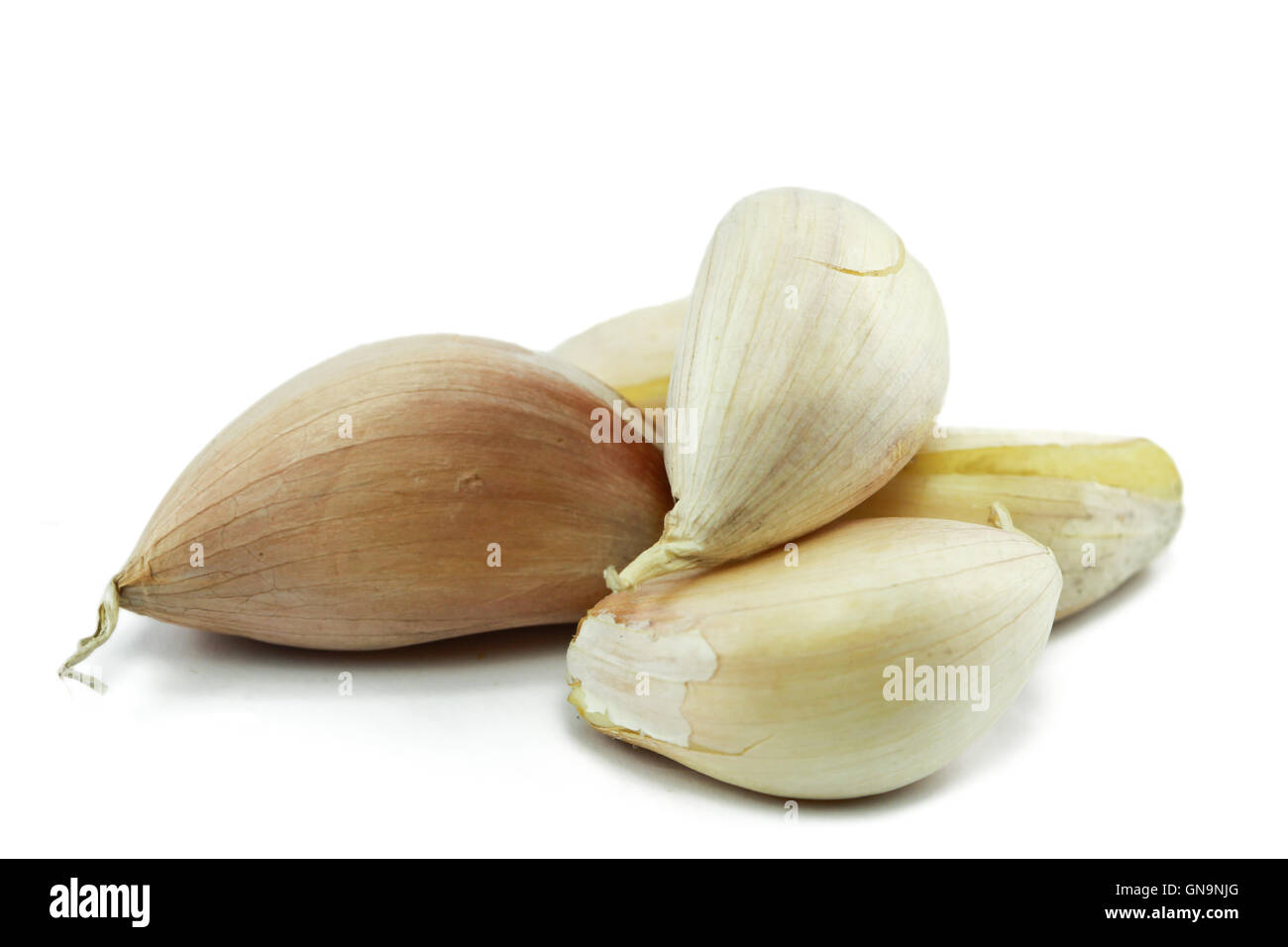 Garlic clove isolated on white background Stock Photo - Alamy