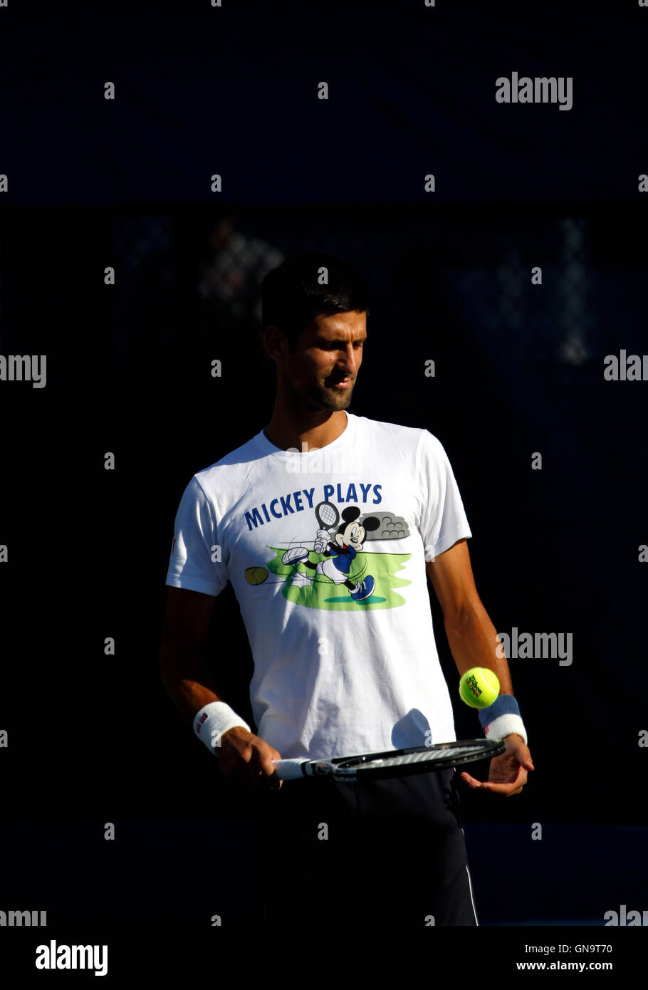 New York, United States. 28th Aug, 2016. Novak Djokovic during a practice session Sunday, August 28th, at the National Tennis Center in Flushing Meadows, New York. Djokovic was practicing for the U.S. Open Tennis Championships which begin on Monday, August 29th. Credit:  Adam Stoltman/Alamy Live News Stock Photo