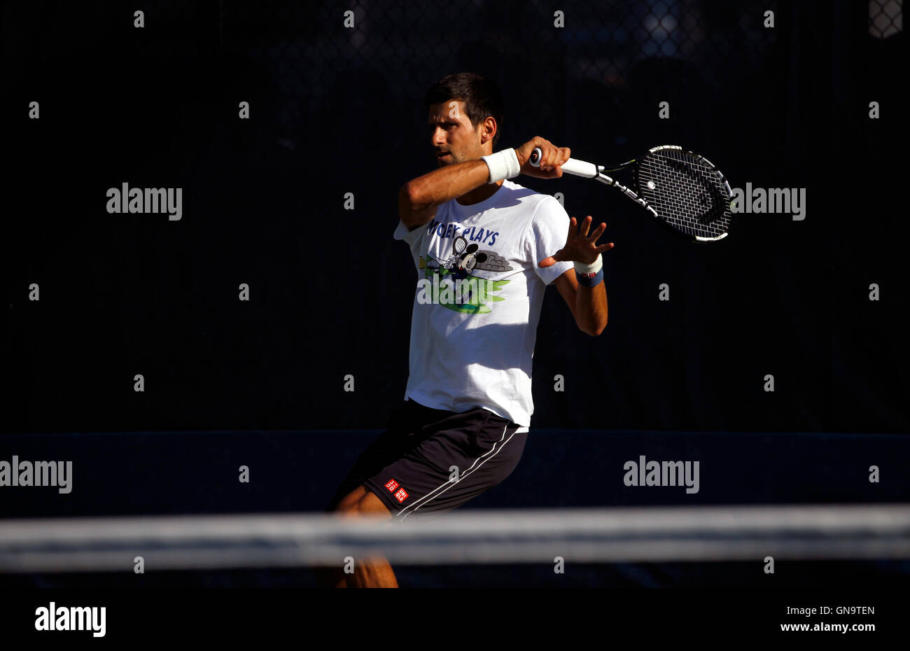 New York, United States. 28th Aug, 2016. Novak Djokovic during a practice session Sunday, August 28th, at the National Tennis Center in Flushing Meadows, New York. Djokovic was practicing for the U.S. Open Tennis Championships which begin on Monday, August 29th. Credit:  Adam Stoltman/Alamy Live News Stock Photo