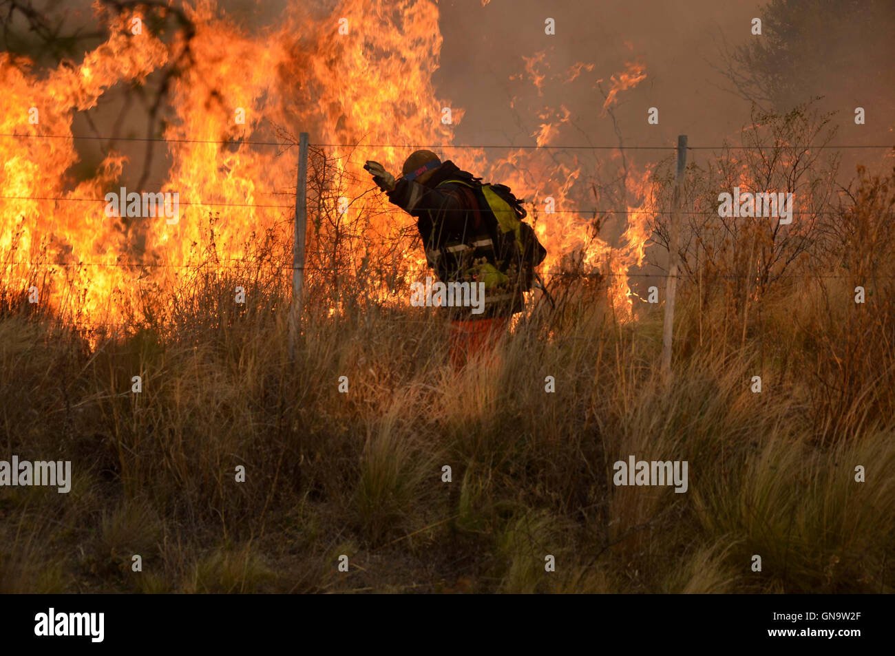 San Luis, Argentina. 28th Aug, 2016. A firefighter tries to extinguish a wildfire in Villa de la Quebrada, 40 km from San Luis, Argentina, on Aug. 28, 2016. The wildfires in central Argentina have affected nearly 8,500 hectares of land, while on Saturday 80 people were evacuated. Credit:  Diario de la Republica de San Luis/TELAM/Xinhua/Alamy Live News Stock Photo
