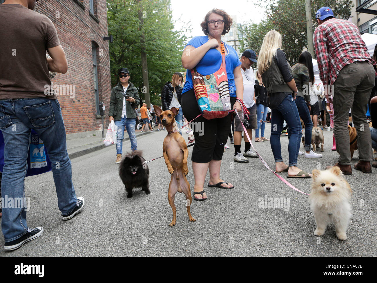 Vancouver, Canada. 28th Aug, 2016. A resident and her dog attend the