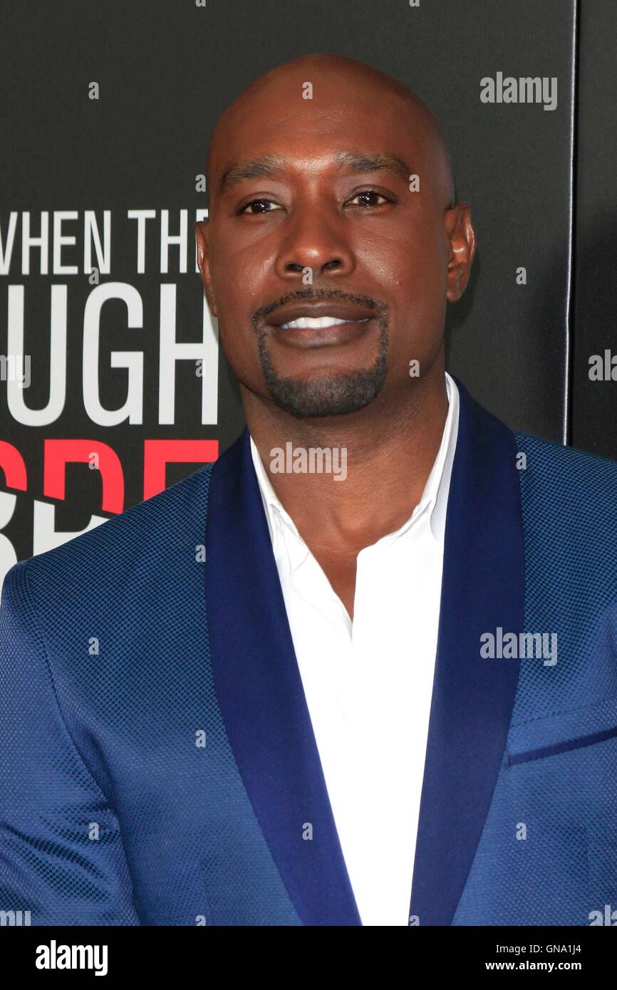 Morris chestnut hi-res stock photography and images - Alamy