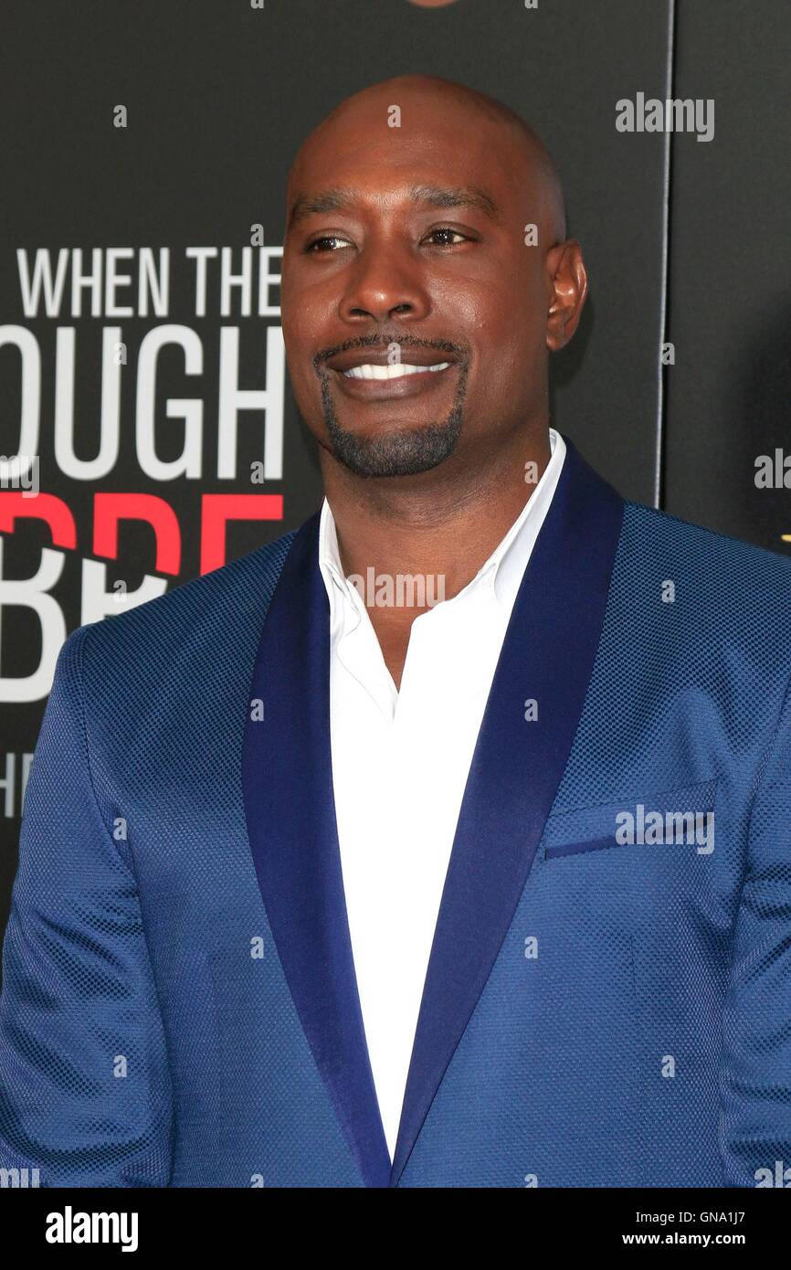 Morris chestnut hi-res stock photography and images - Alamy
