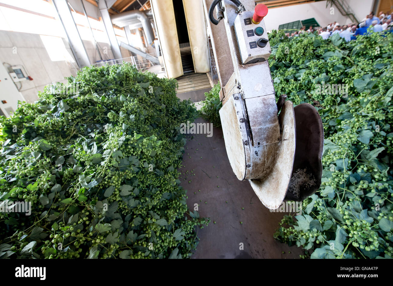 Oberpindhart hi-res stock photography and images - Alamy