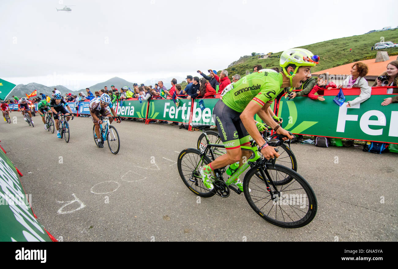 Covadonga, Spain. 29th August, 2016. Andrew Talansky (Cannondale - Drapac Pro Cycling Team) finishes the 10th stage of cycling race ‘La Vuelta a España’ (Tour of Spain) between Lugones and Lakes of Covadonga on August 29, 2016 in Covadonga, Spain. Credit: David Gato/Alamy Live News Stock Photo