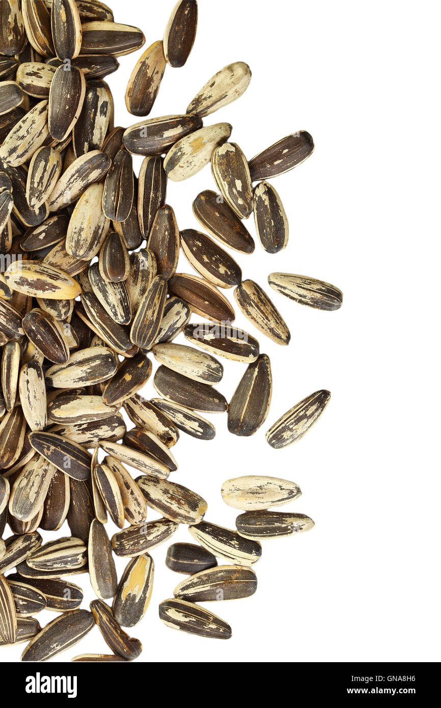 Unshelled sunflower seeds hi-res stock photography and images - Alamy