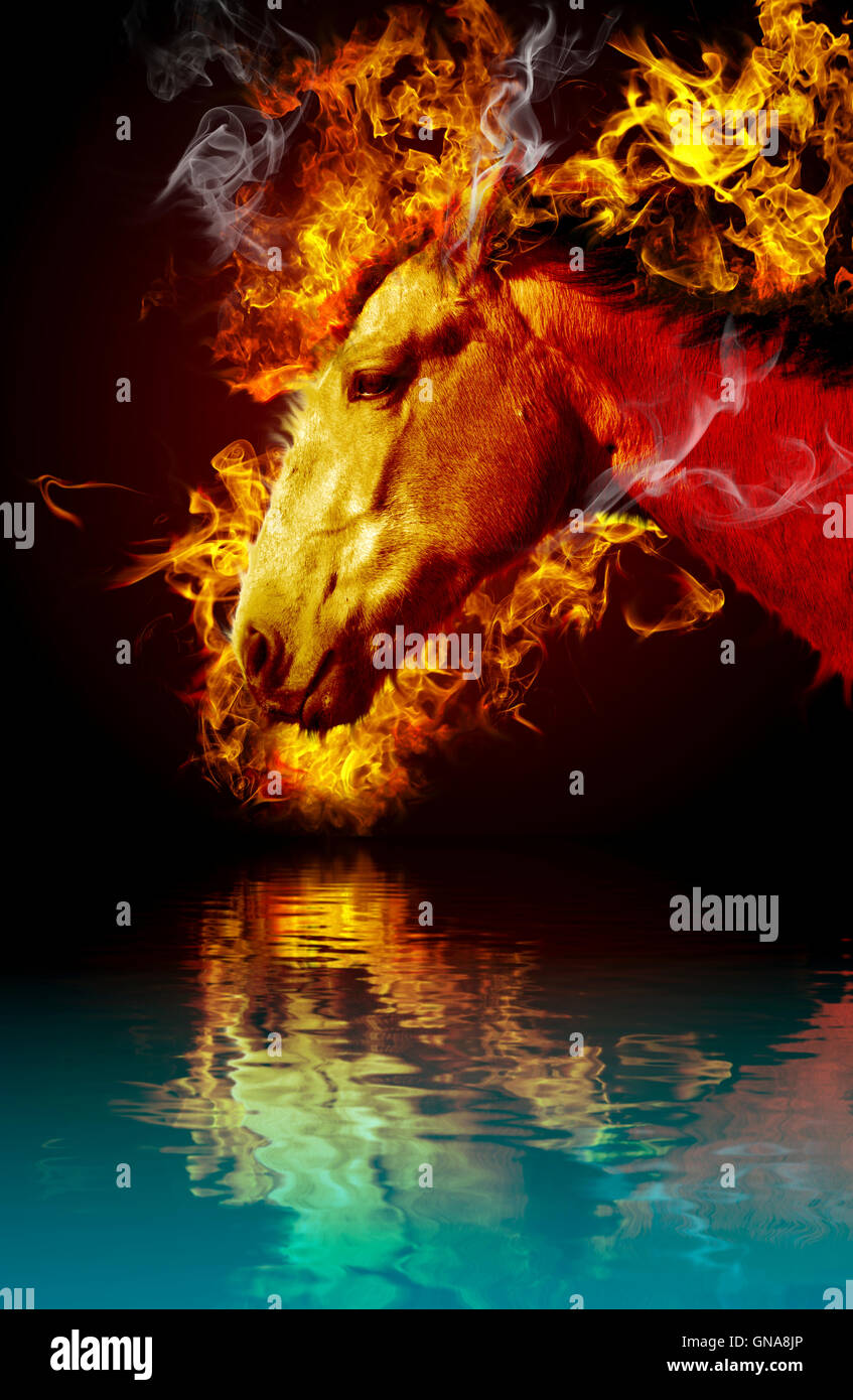 Hot horse, burning animal, fire reflected in rendered water Stock Photo Alamy