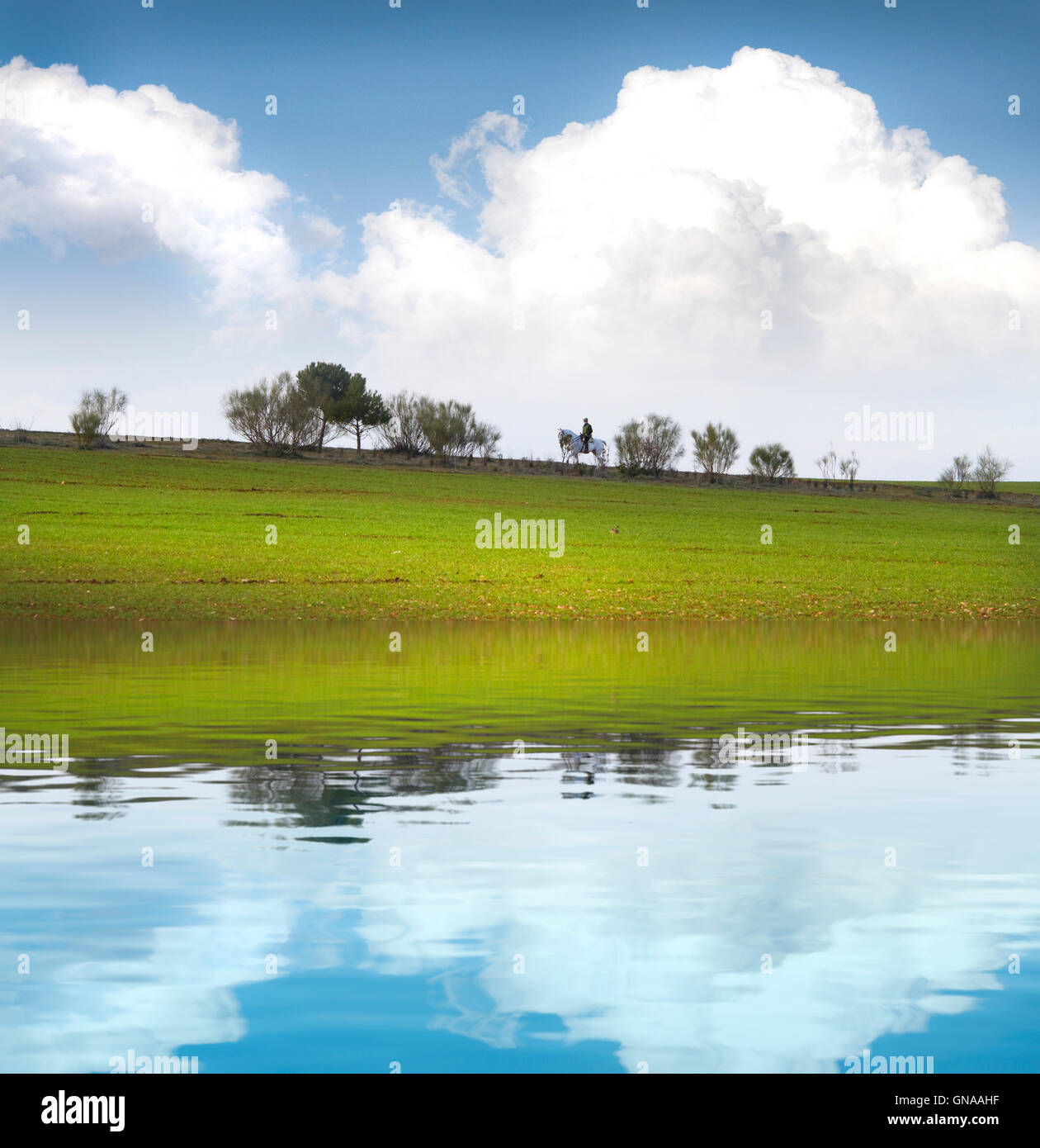 Spanish Agriculture field with water reflection Stock Photo - Alamy