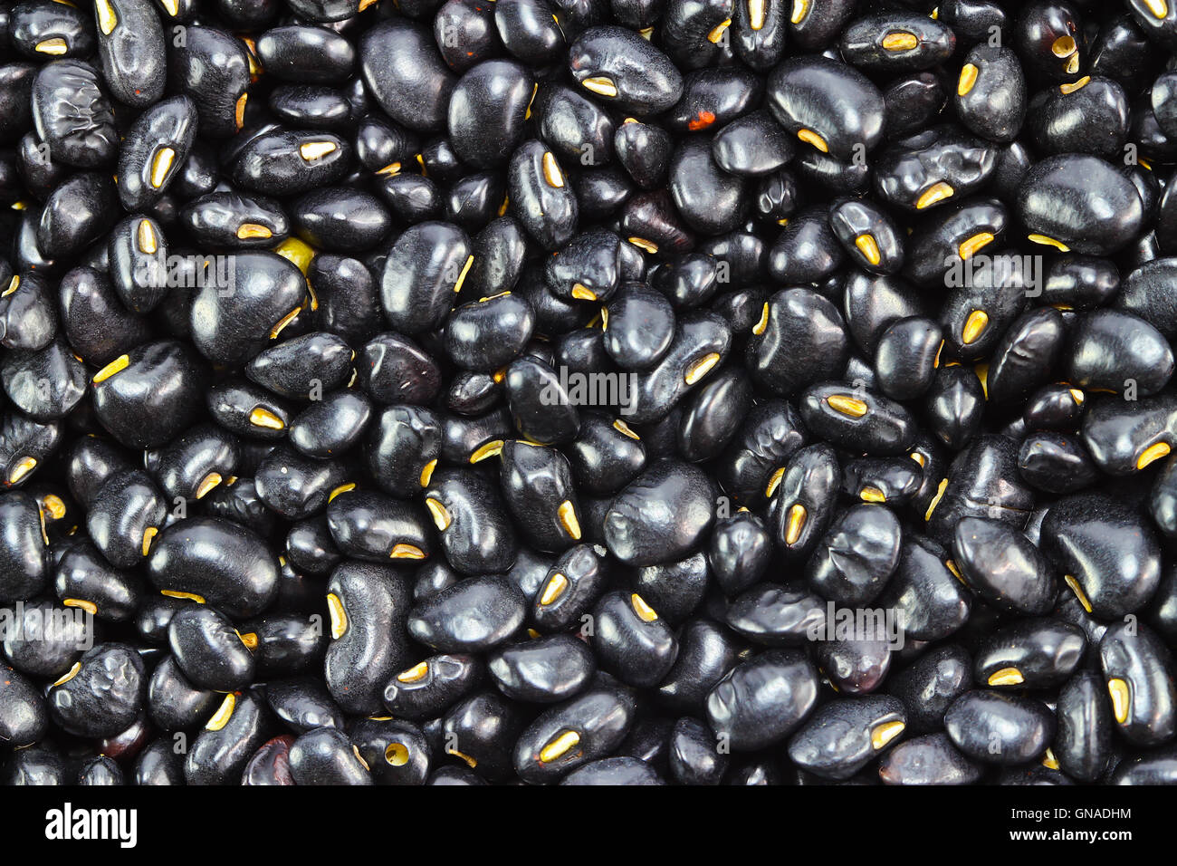 Blackbean Stock Photo